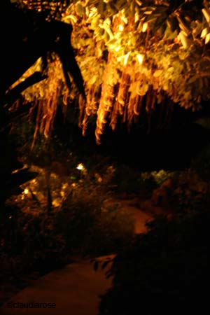 IMG_1418
