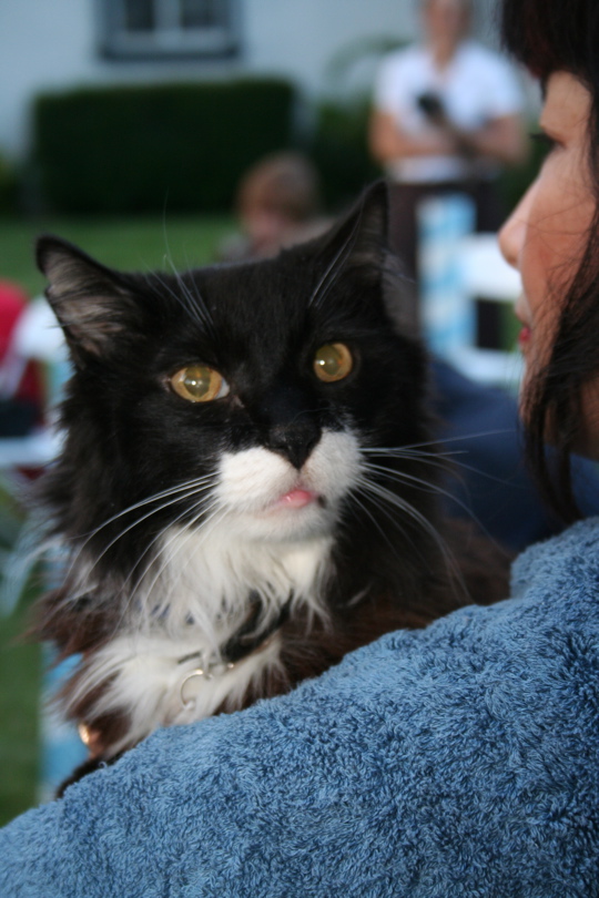 NINO IMG_0881